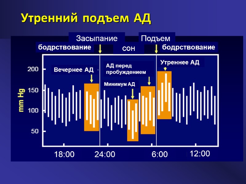 Утренний подъем АД Засыпание Подъем бодрствование бодрствование сон 18:00 24:00 6:00 12:00 Утреннее АД